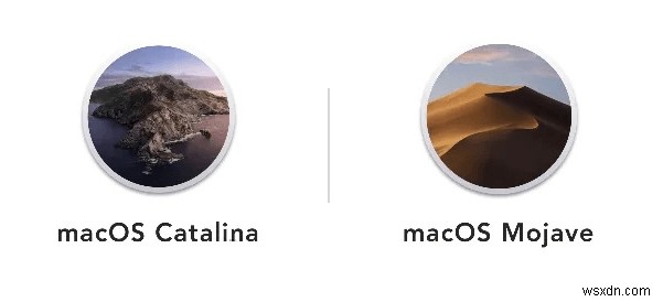 Mojave Vs Catalina:Tôi có nên nâng cấp từ Mojave lên Catalina không?