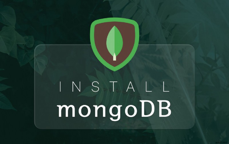 Cách cài đặt MongoDB trên Mac một cách dễ dàng và nhanh chóng 