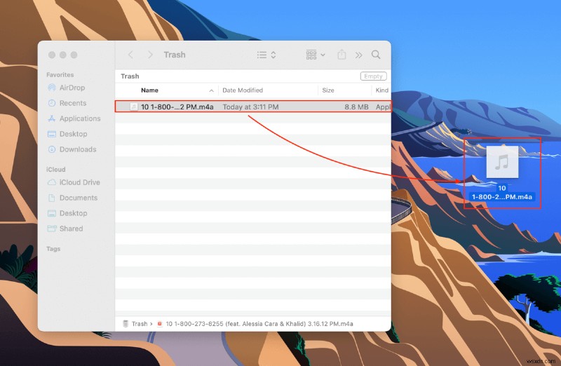 Cách khôi phục bài hát đã xóa từ iTunes trên máy Mac:5 phương pháp + tiền thưởng