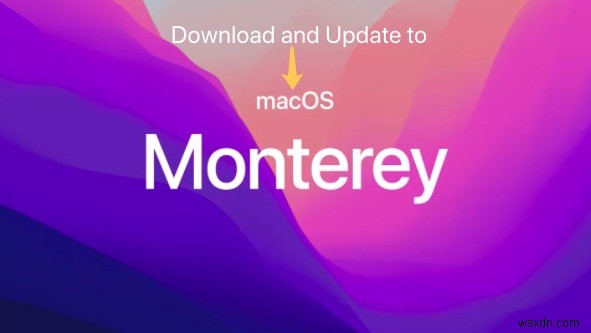 Cách tải xuống và cập nhật lên macOS Monterey?
