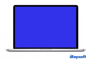 Màn hình xanh trên MacBook Air / Pro, Tại sao &Cách khắc phục - 2022