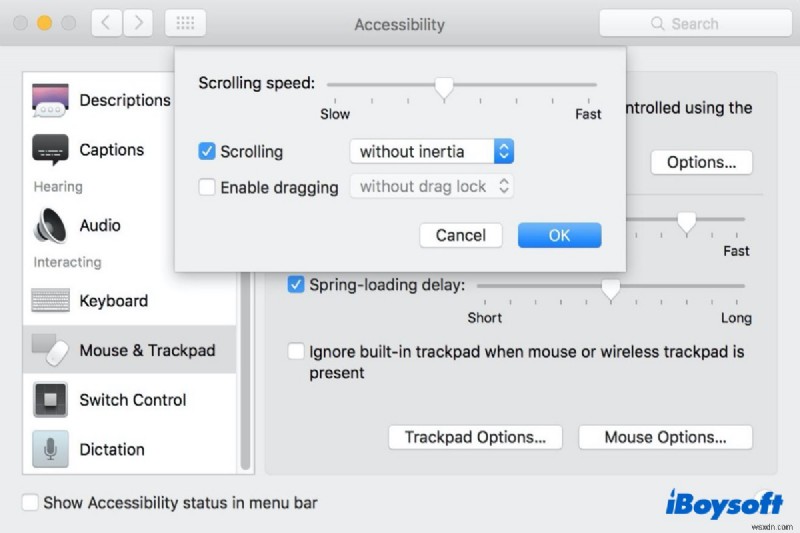 Apple Magic Mouse không cuộn, cách khắc phục?
