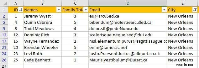 Cách lọc dữ liệu trong Excel 