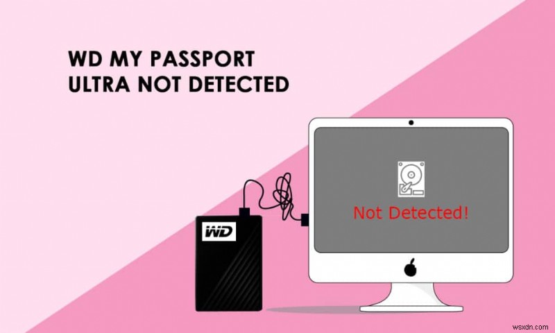 Sửa lỗi WD My Passport Ultra Not Detected trên Windows 10