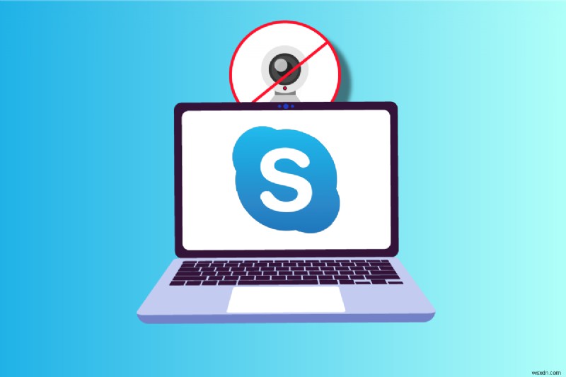 Sửa lỗi Skype Camera không hoạt động trên Windows 10 