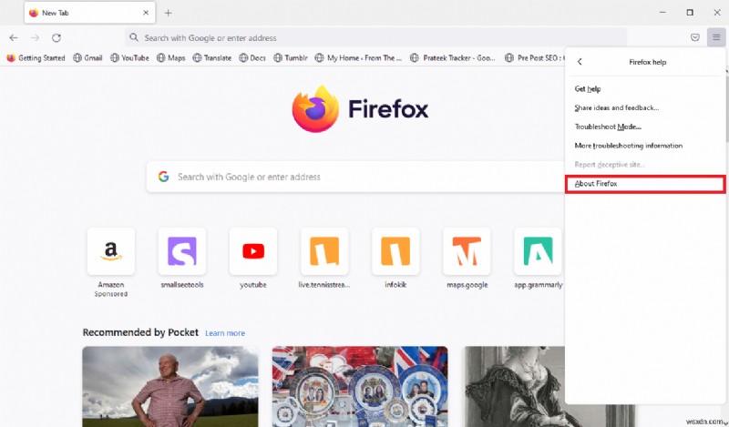 Sửa vùng chứa plugin cho Firefox không hoạt động 