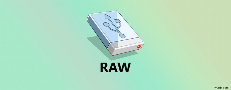 Cách khôi phục tệp từ ổ cứng ngoài RAW