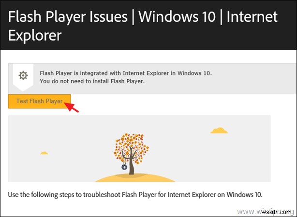 Cách cài đặt Flash Player trên Server 2016/2019.