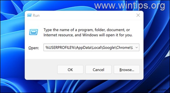 Khắc phục:Chrome sẽ không mở trong Windows 10/11