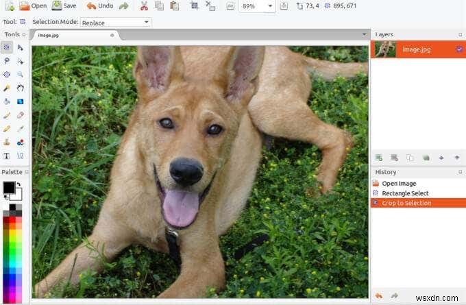 11 ứng dụng Mac tốt nhất tương đương với Microsoft Paint