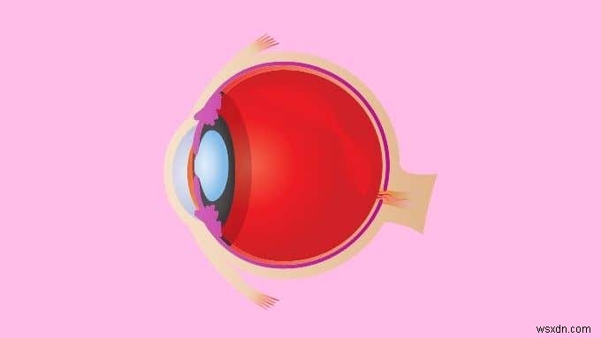 Màn hình Retina là gì:Mọi thứ bạn cần biết