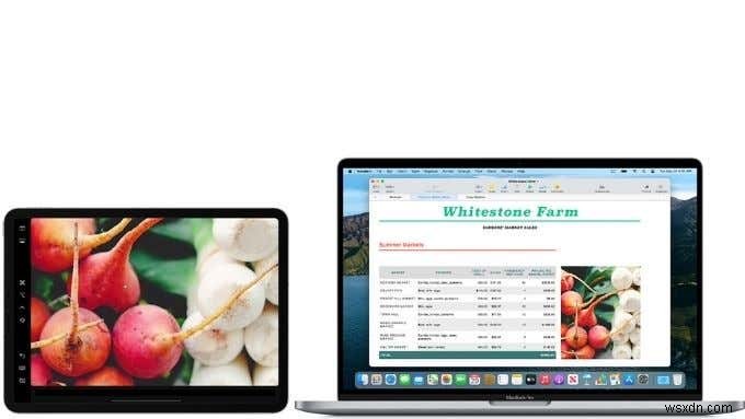 MacBook M1 vs iPad Pro:Sự lựa chọn khó khăn hơn bao giờ hết