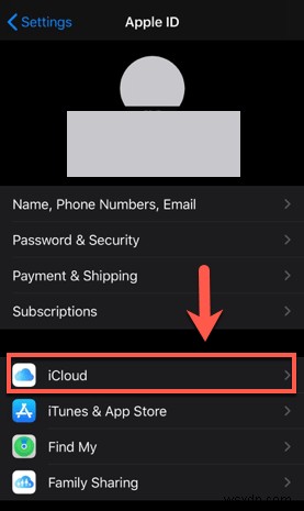 Phải làm gì khi micrô của iPhone không hoạt động?