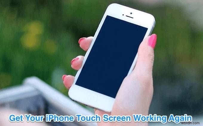 Cách khắc phục màn hình cảm ứng iPhone không hoạt động