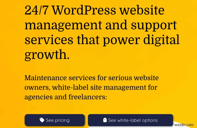 12 Dịch vụ bảo trì WordPress tốt nhất để lựa chọn (Đã cập nhật)