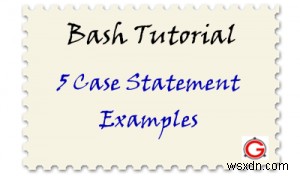 5 Ví dụ về tuyên bố trường hợp Bash