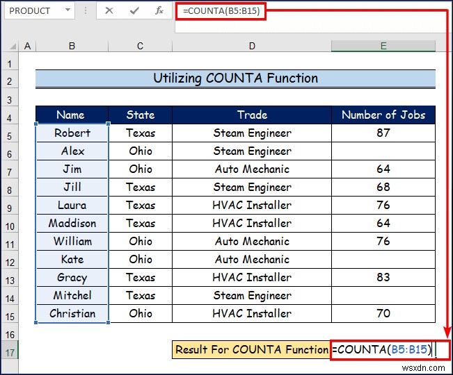 Cách sử dụng các loại hàm COUNT khác nhau trong Excel (5 cách) 