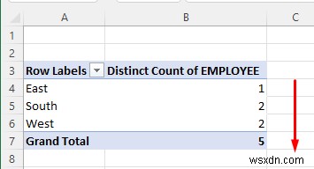 Đếm số bản sao trong Excel Pivot Table (2 cách dễ dàng)