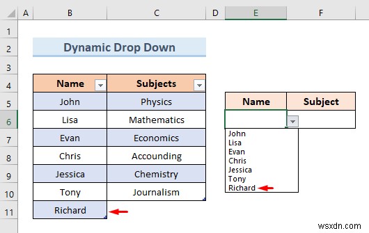 Tạo danh sách thả xuống của Excel từ bảng (5 ví dụ)