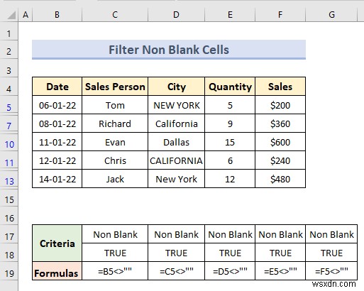 Bộ lọc nâng cao với phạm vi tiêu chí trong Excel (18 Ứng dụng)