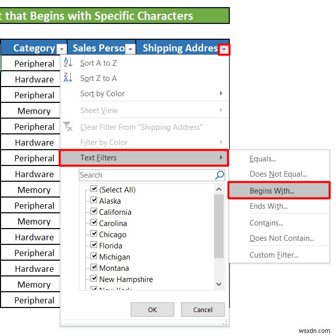 Cách sử dụng bộ lọc văn bản trong Excel (5 ví dụ)