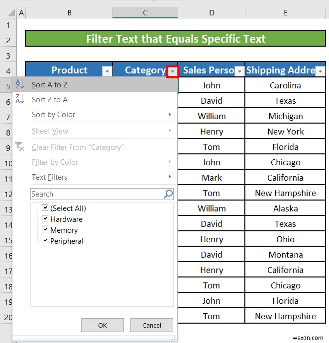 Cách sử dụng bộ lọc văn bản trong Excel (5 ví dụ)