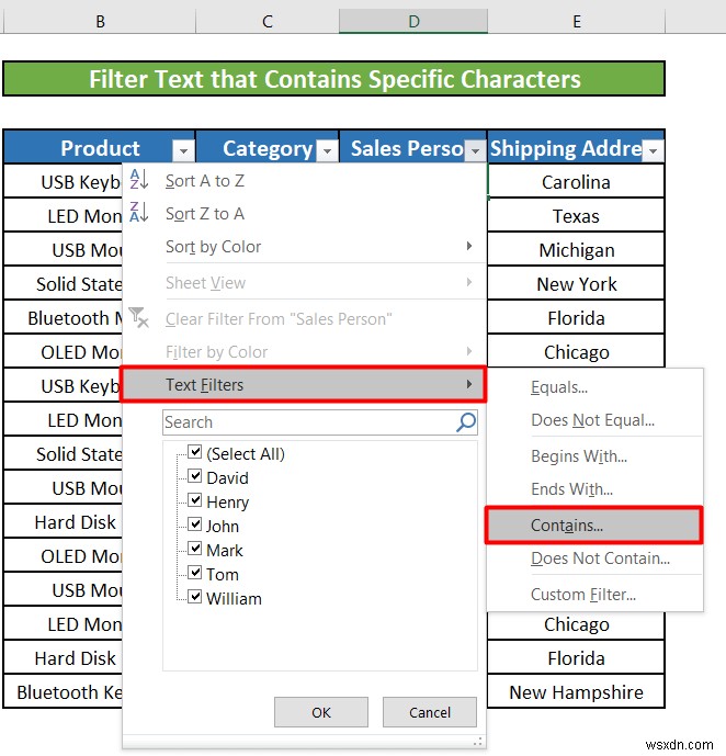 Cách sử dụng bộ lọc văn bản trong Excel (5 ví dụ)