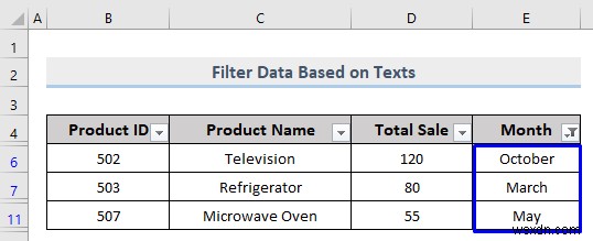 Cách thực hiện bộ lọc tùy chỉnh trong Excel (5 cách)