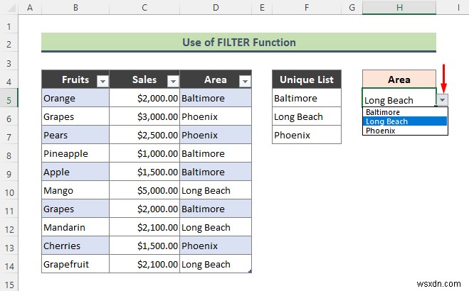 Danh sách thả xuống xác thực dữ liệu Excel với bộ lọc (2 ví dụ)