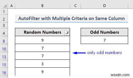 VBA để tự động lọc với nhiều tiêu chí trên cùng một trường trong Excel (4 phương pháp)