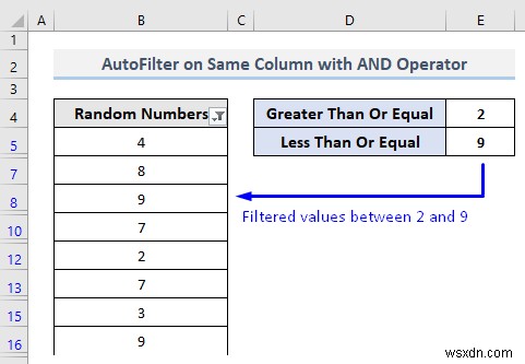 VBA để tự động lọc với nhiều tiêu chí trên cùng một trường trong Excel (4 phương pháp)