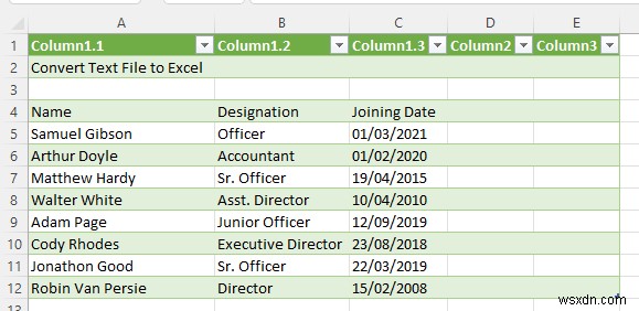 Cách tự động chuyển đổi tệp văn bản sang Excel (3 cách phù hợp)