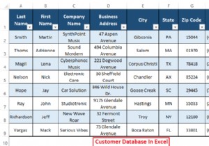Cách duy trì Cơ sở dữ liệu khách hàng trong Excel