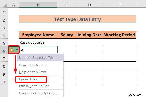 Các kiểu nhập dữ liệu trong Excel (Tổng quan nhanh)