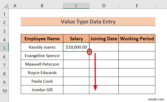 Các kiểu nhập dữ liệu trong Excel (Tổng quan nhanh)