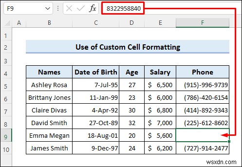 Cách ẩn dữ liệu bí mật trong Excel (5 cách dễ dàng)