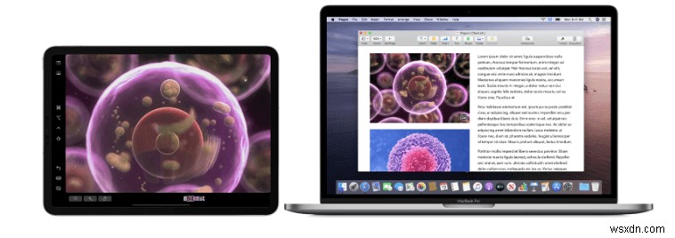 14 Sự cố phổ biến của macOS Catalina và các bản sửa lỗi nhanh