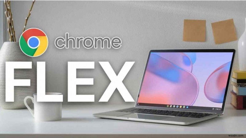 Google Flex Hệ điều hành mà tất cả chúng ta đã chờ đợi