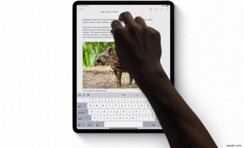 5 Tính năng mới của iPadOS đáng để kiểm tra!