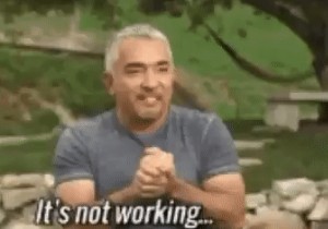 Năm bản sửa lỗi cho ảnh GIF Gboard không hoạt động