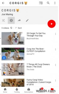 Các mẹo giúp bạn thành thạo YouTube Premium