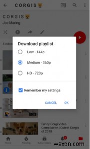 Các mẹo giúp bạn thành thạo YouTube Premium