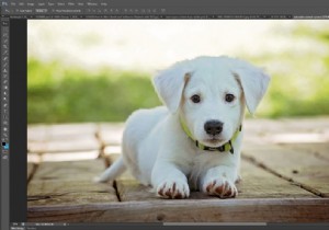 Cách xóa nền khỏi ảnh