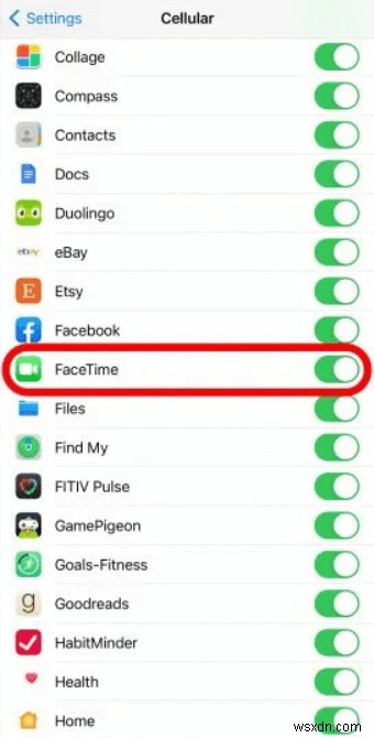 FaceTime không hoạt động hoặc liên tục bị treo trên iOS 15:Đã giải quyết