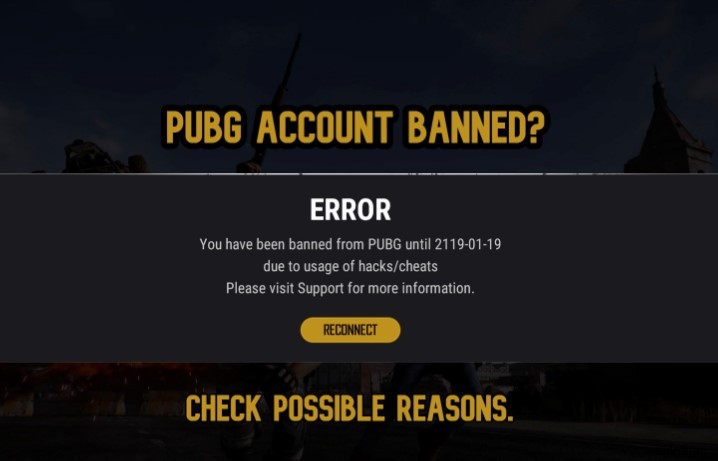 11 sự thật về PUBG mà có thể bạn chưa biết