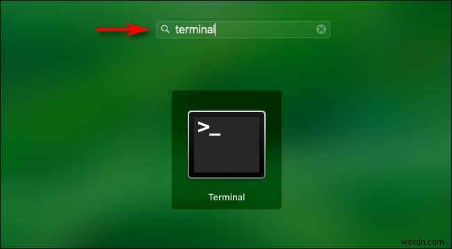 Cách mở Terminal trên máy Mac (4 cách)