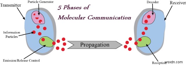 Giao tiếp phân tử – Lấy cảm hứng từ Mạng truyền thông sinh học