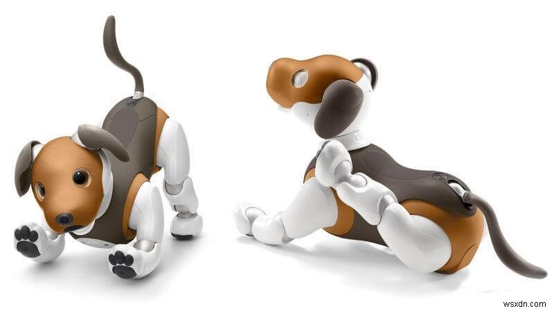 Hãy nói lời chào với Sony Aibo—Chú chó rô-bốt tuyệt vời nhất của thiên niên kỷ này