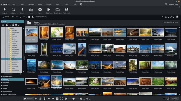 Các lựa chọn thay thế Picasa hàng đầu để quản lý ảnh của bạn vào năm 2022