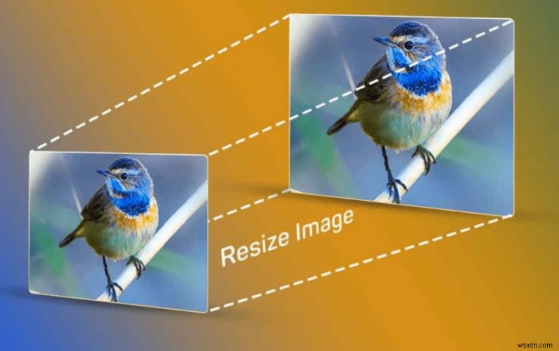 Cách điều chỉnh hướng hình ảnh và tăng tỷ lệ hình ảnh bằng công cụ chỉnh kích thước hình ảnh